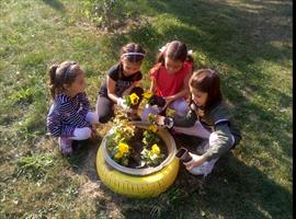 Садња цвећа у летњој учионици